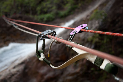Close-up of rope and carabiner at forest