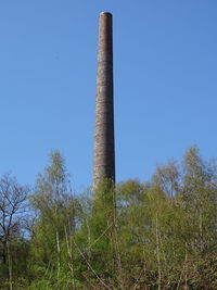 Low angle view of tree against blue sky