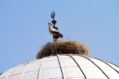 Low angle view of built structure against clear blue sky