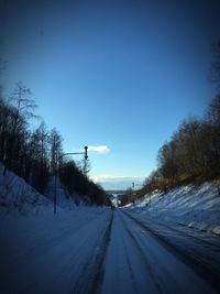 View of road along trees