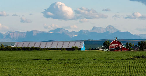 Alberta mountains, red barn