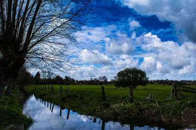 Scenic view of grassy field against cloudy sky