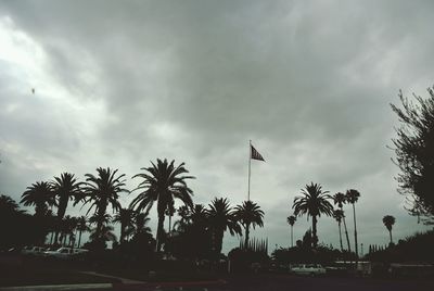 Low angle view of palm trees against cloudy sky