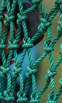 Full frame shot of rope tied