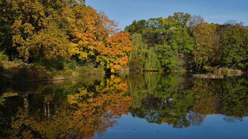 Scenic view of lake in forest during autumn