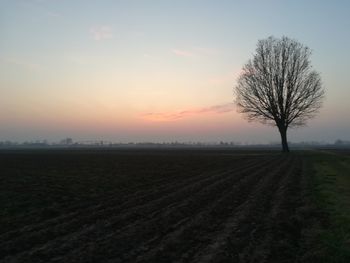 Scenic view of field against sky during sunset