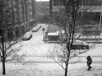 Bare trees on snow covered city during winter
