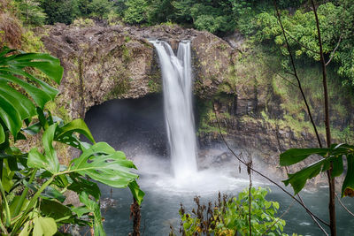 Scenic view of waterfall in forest