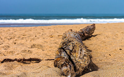 Close-up of water on beach against sky