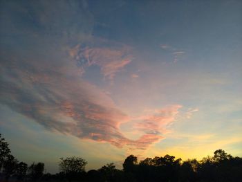 Low angle view of silhouette trees against sky during sunset