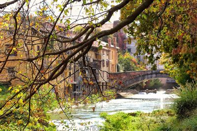 River amidst trees and buildings during autumn