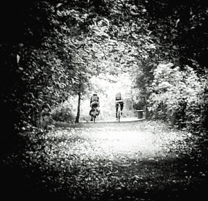 People on road amidst trees