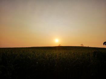 Scenic view of field against sky during sunset