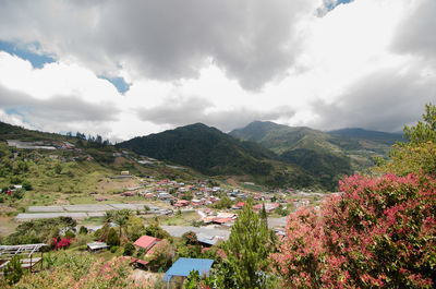 Scenic view of plants and mountains against sky