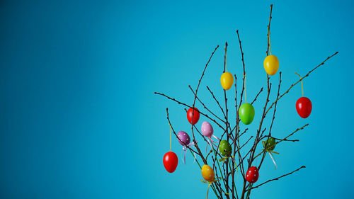 Front view of a branch decorated with easter eggs on blue background. easter in germany. copy space.