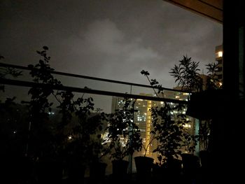 Low angle view of silhouette trees against sky at night