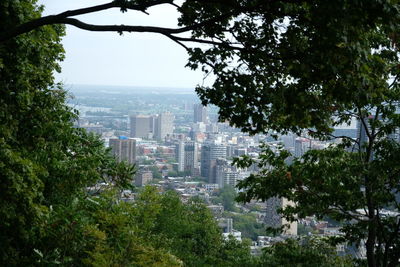 High angle view of trees and buildings against sky