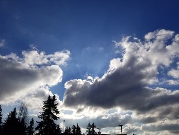 Low angle view of silhouette trees against sky