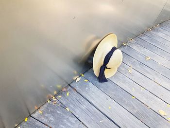 High angle view of bird on boardwalk