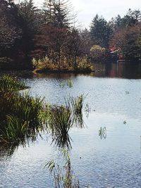 Scenic view of lake