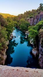 Scenic view of river amidst trees against clear sky