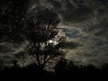 Low angle view of silhouette trees against sky