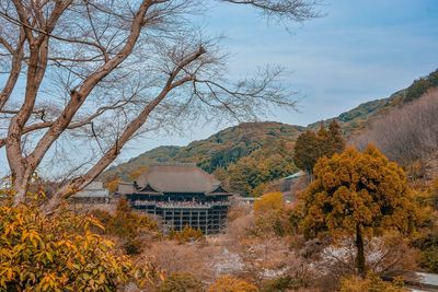 Trees and buildings against sky during autumn