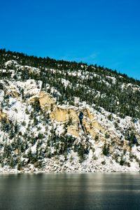 Scenic view of snow covered land and trees