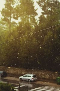 Car on road during rainy season