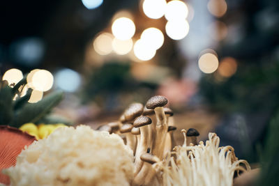 Close-up of bread on table