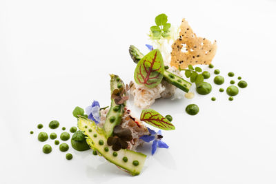 High angle view of vegetables on white background