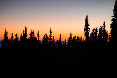 Silhouette trees in forest against sky during sunset