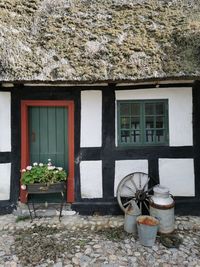 Potted plants on wall of building