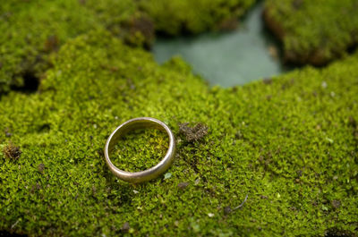 Jewelery ring on green moss