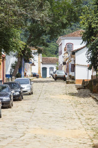 Cars on street amidst trees