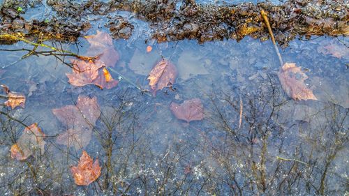 Full frame shot of water