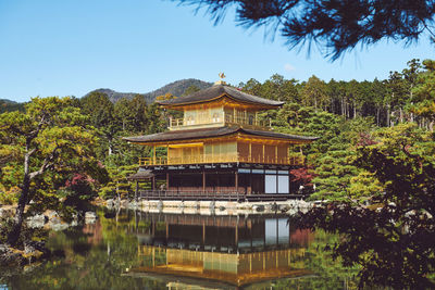 Kinkaku-ji golden temple