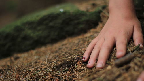 Low section of woman standing on ground