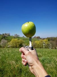 Person holding apple on field against clear blue sky