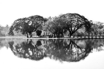 Reflection of trees in water