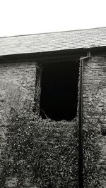 Low angle view of brick wall