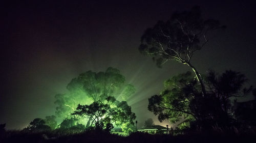 Silhouette trees against sky at night