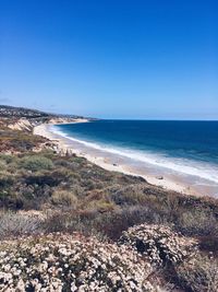 Scenic view of beach against clear blue sky