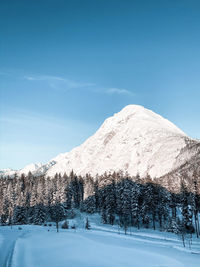 Snow covered land and trees against sky