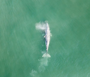 High angle view of sea water