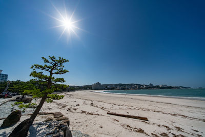 Scenic view of beach against blue sky on sunny day