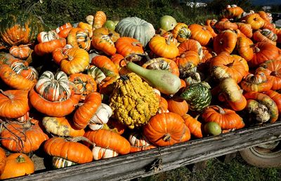 High angle view of pumpkins in market