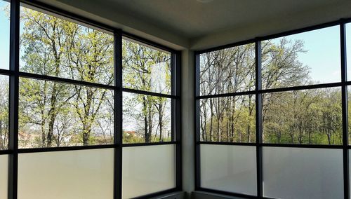 View of trees seen through window