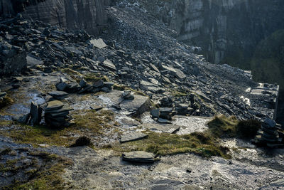 High angle view of rocks and trees in forest