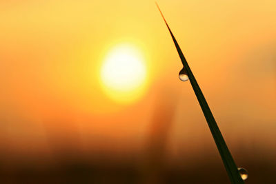 Close-up of drop on grass against sky during sunset